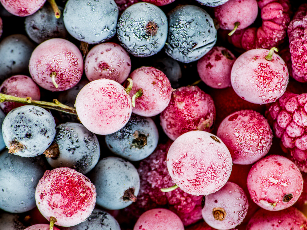 Criogenia alimentare